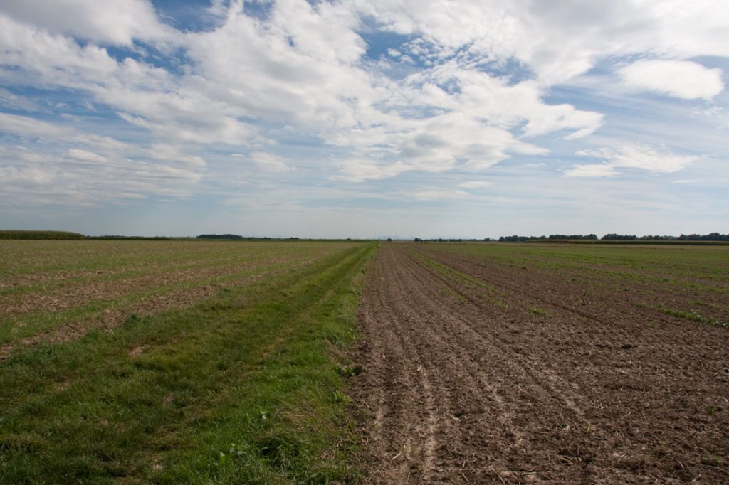 Foto 3: Feld und Himmel mit Fokus auf den Horizont