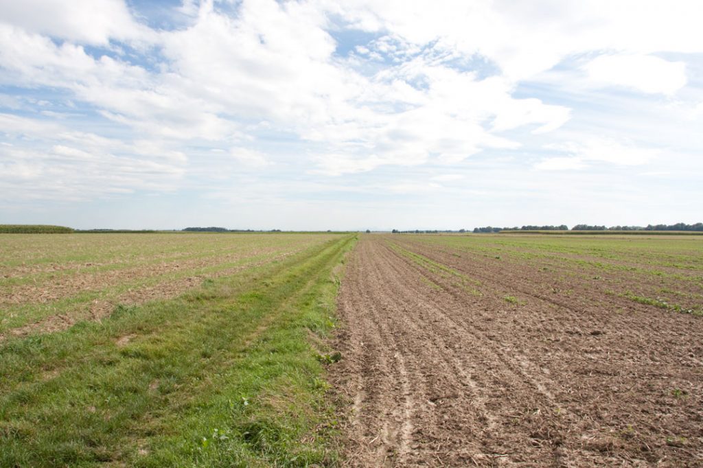 Foto 4: Feld und Himmel mit Fokus auf den vorderen Bereich